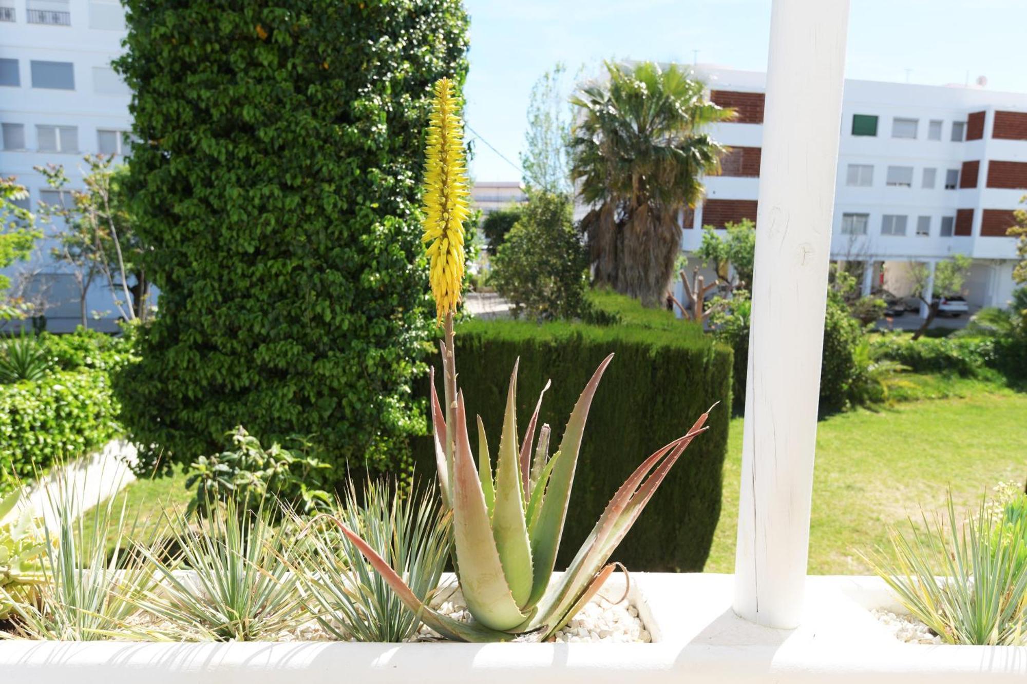 Stories Javea - Cosy Boho Apartment El Arenal - Toplocation - 250M From The Beach! ภายนอก รูปภาพ